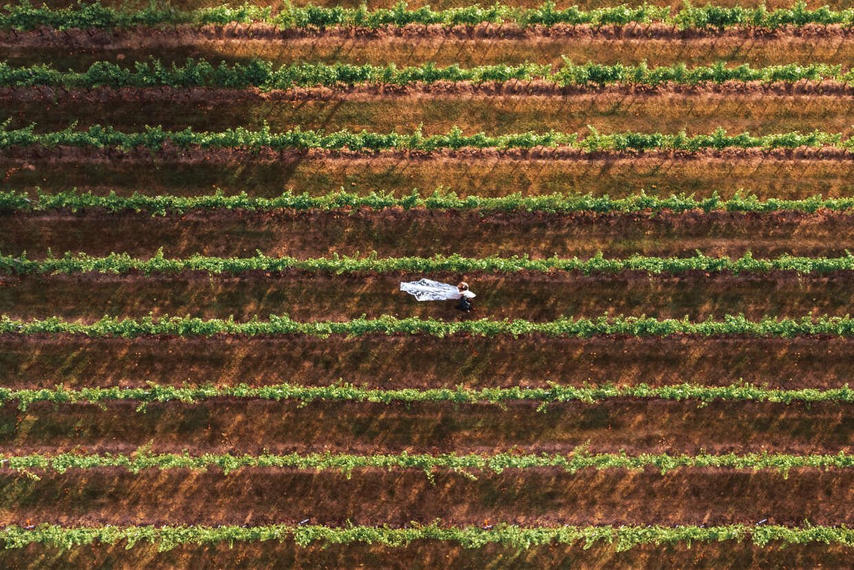 high-house-weddings-exclusive-events-venue-liam-gillan-photography-ben-lisa-27-1240x827