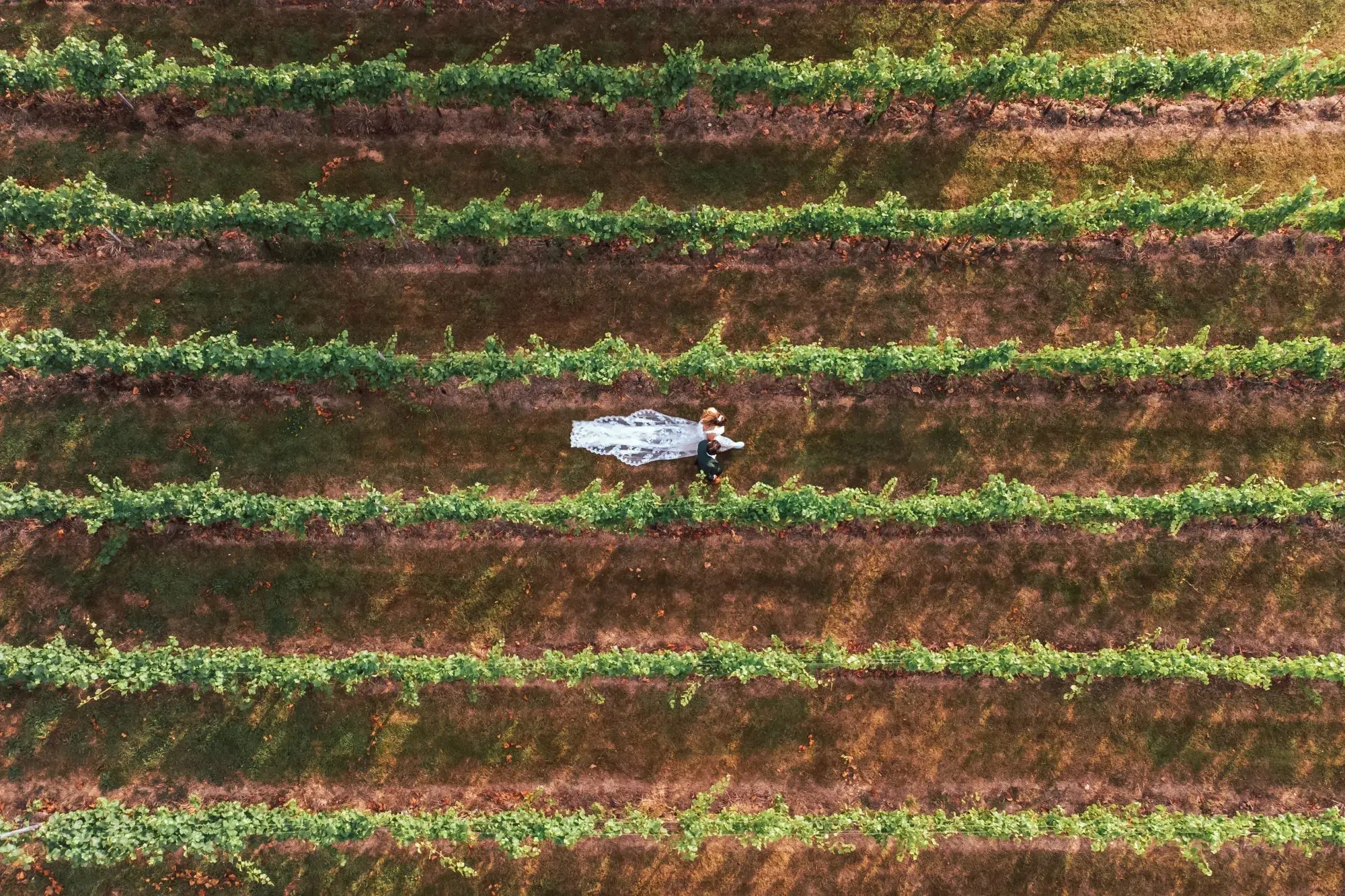 high-house-weddings-exclusive-events-venue-liam-gillan-photography-ben-lisa-26-2000x1333