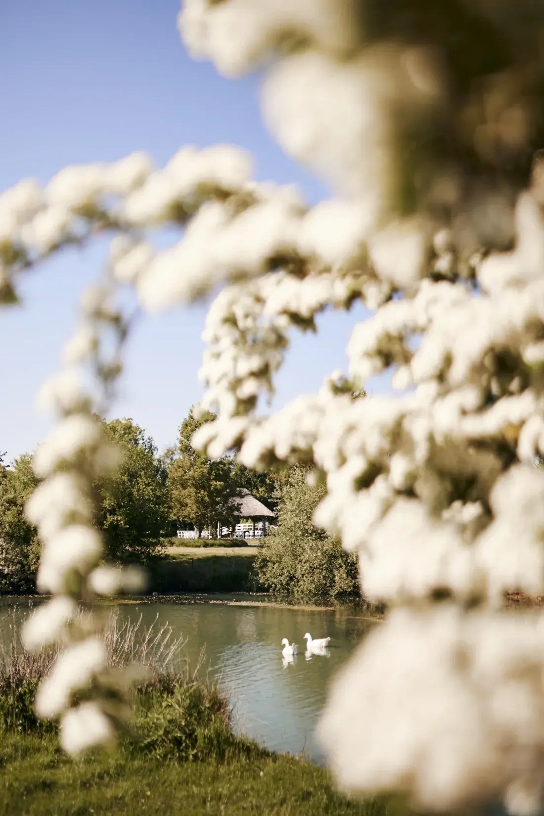 high-house-weddings-exclusive-events-venue-capella-photography-shoot-150-1100x1650