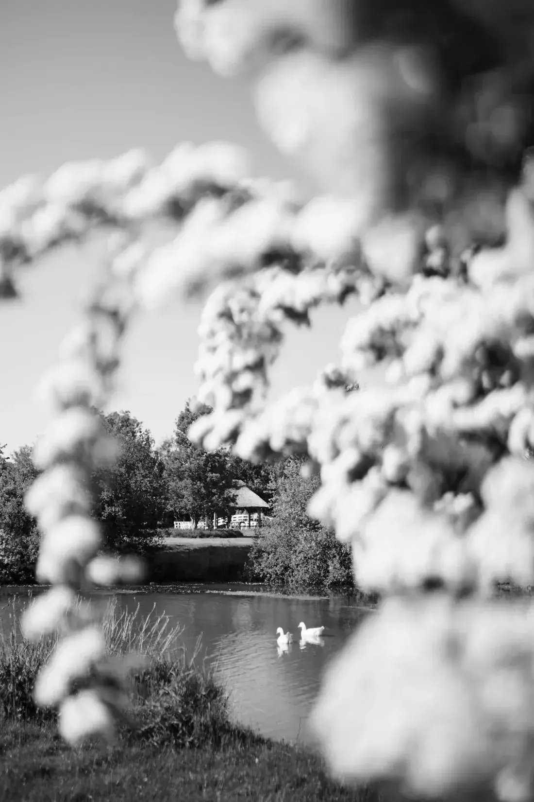 high-house-weddings-exclusive-events-venue-capella-photography-shoot-1502-1100x1650