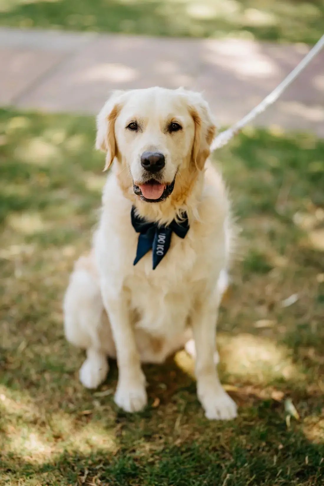 high-house-weddings-exclusive-events-venue-pure-image-photography-emma-matt-18-1100x1650