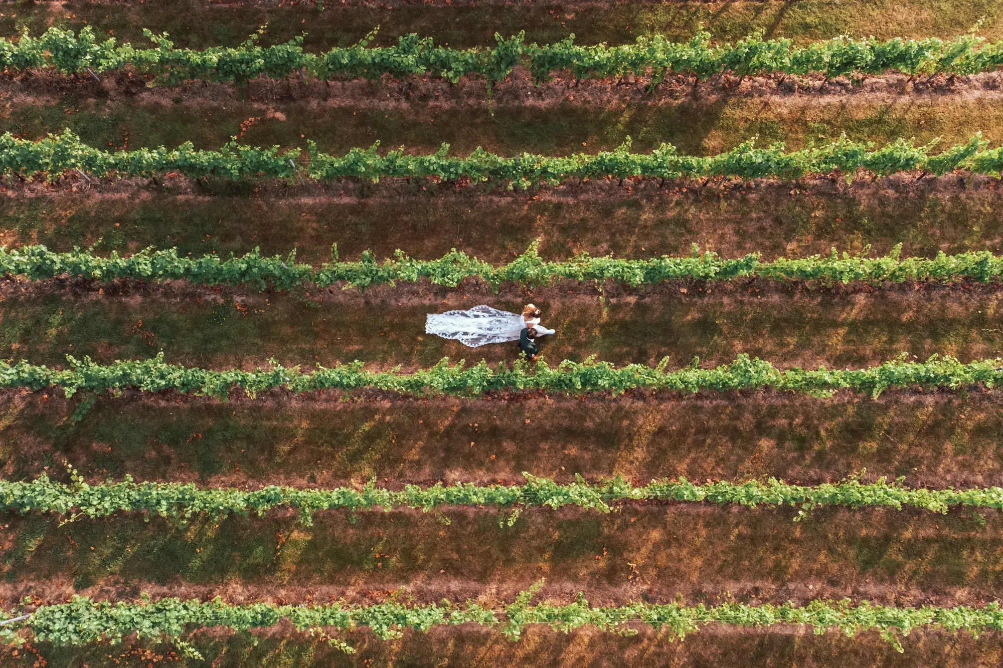 high-house-weddings-exclusive-events-venue-liam-gillan-photography-ben-lisa-26-2000x1333