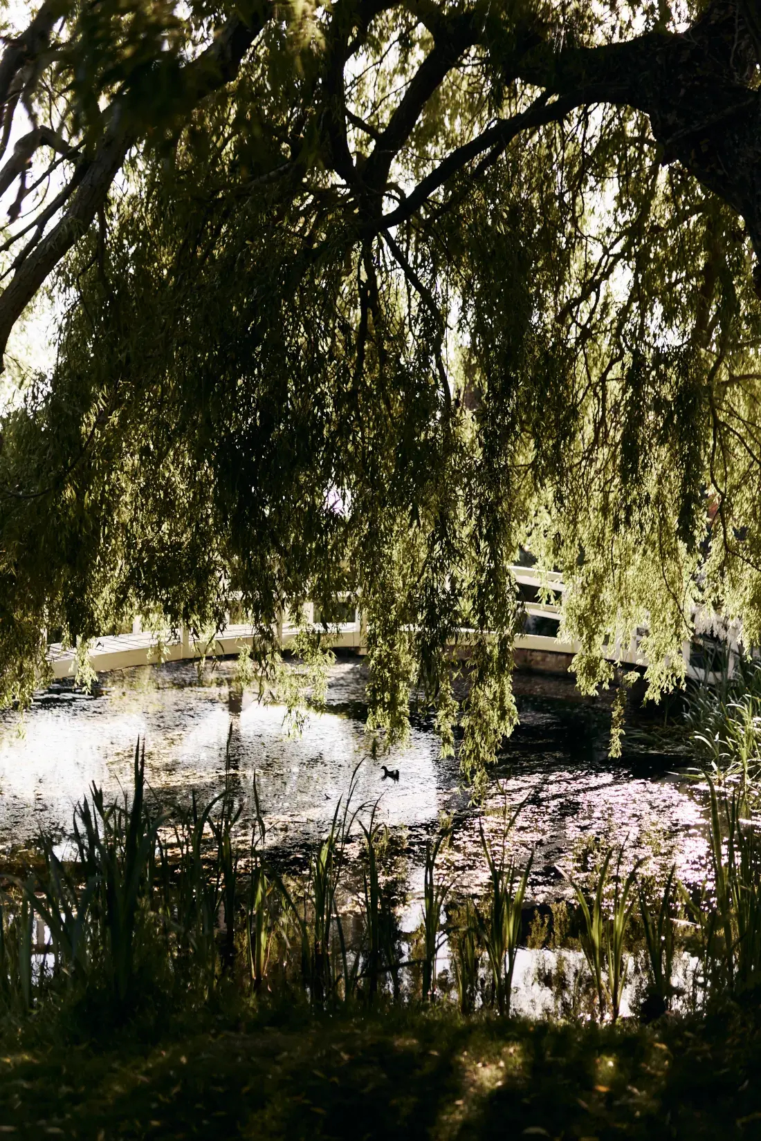 high-house-weddings-exclusive-events-venue-capella-photography-shoot-162-1100x1650